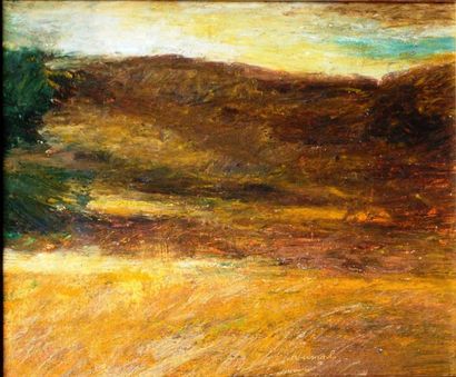 Mathieu WEEMAELS (né en 1967) Paysage Pastel...