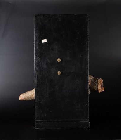 Vierge de Pitié en bois sculpté et polychromé....