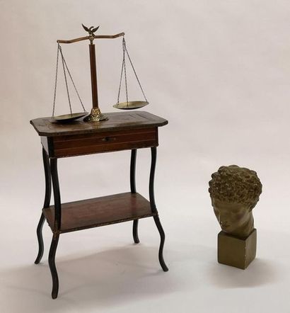 Grande tête d'Antinous en plâtre (50 cm)...