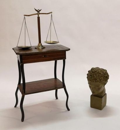 Grande tête d'Antinous en plâtre (50 cm)...