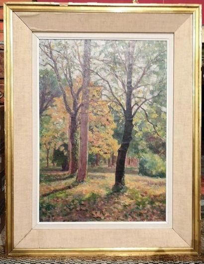 P. JOUVE (XXème siècle). Arbres en automne....