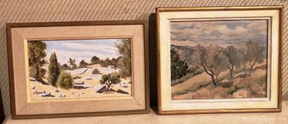 André Charles TZANCK (1899-?)
Paysages du...