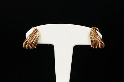 Paire de clips d'oreilles mouvementés en...