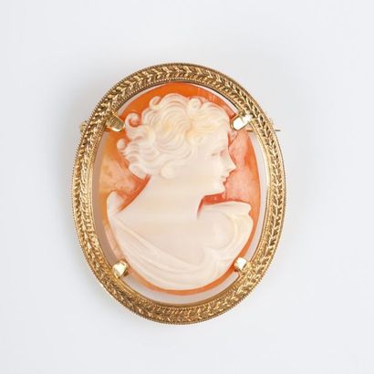 Broche camée coquille à profil de femme dans...