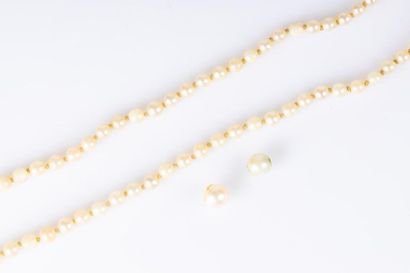 Collier de perles de culture en chute (3...