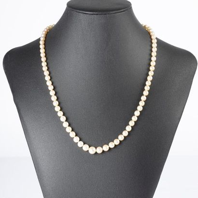 Collier de perles de culture en chute (diam....