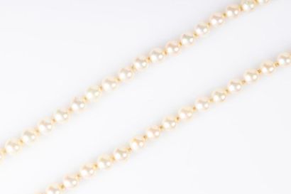 Collier de perles de culture en chute (diam....