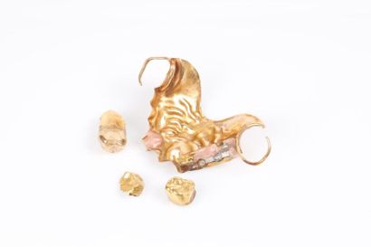 Petit lot d'or dentare. 20,35 g brut