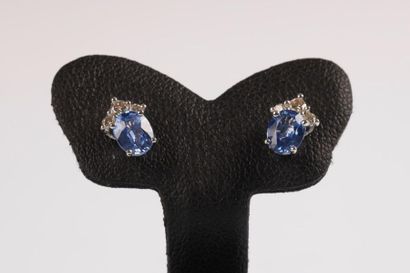 Paire de clous d'oreilles en or gris serties...