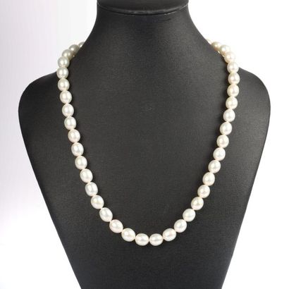 Important collier de perles de culture naturelles...