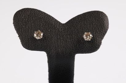 Paire de clous d'oreilles en or gris sertis...