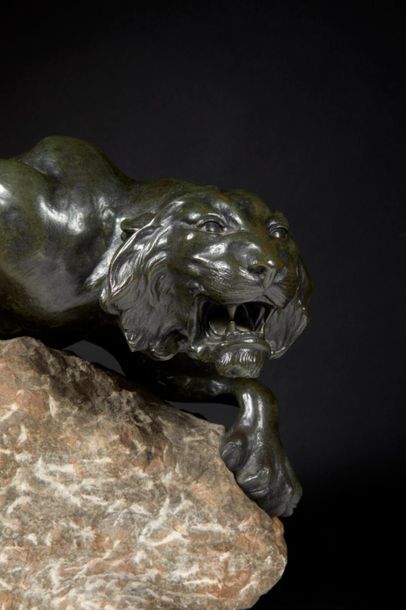 Jacques MERCULIANO (1859-1935)
Lionne aux...