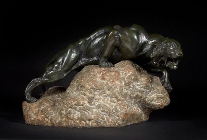 Jacques MERCULIANO (1859-1935)
Lionne aux...