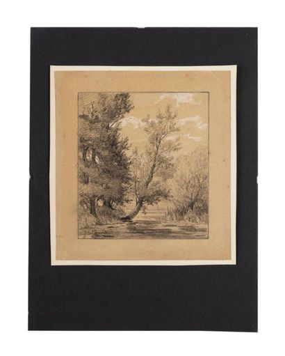 François Auguste ORTMANS (1826-1884)
Arbres...