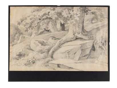 François Auguste ORTMANS (1826-1884)
Arbres...