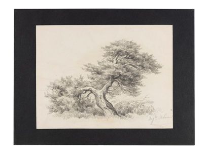 François Auguste ORTMANS (1826-1884)
Arbres...