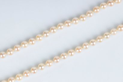 Sautoir de perles de culture choker, diam....