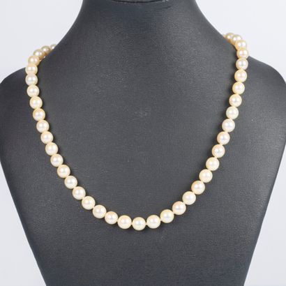 Collier de perles de culture choker, diam....