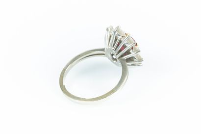 Bague en or gris sertie d'un rubis ovale...