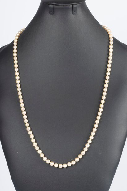 Sautoir de perles de culture choker, diam....