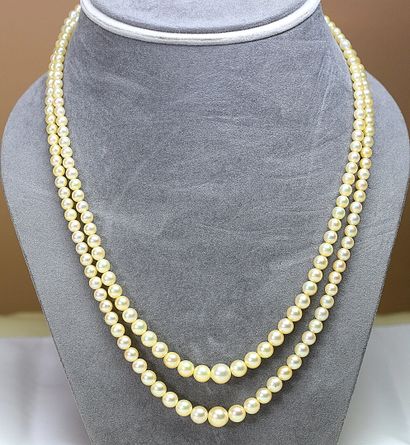 Collier double rangs de perles en chute AKOYA...