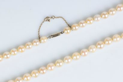Collier de perles de culture choker, diam....