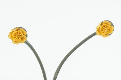 Paire de clous d'oreilles en or dépoli à...