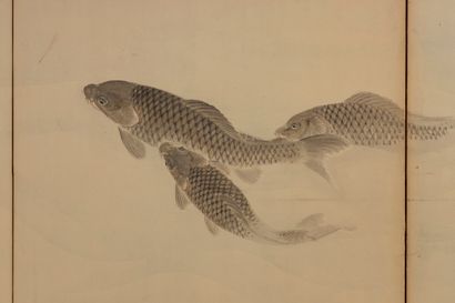 JAPON - Epoque MEIJI (1868 - 1912)

Paravent...