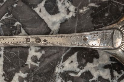 Ensemble en argent: 

. cuiller saupoudreuse...