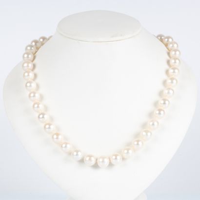 Collier en perles de culture diamètre 10,5...