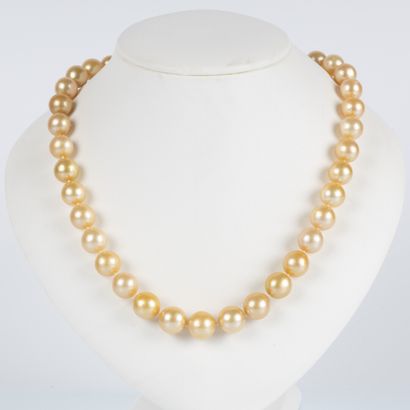 Collier de perles gold (South sea) en chute...