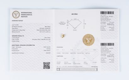 Diamant sur papier avec son certificat mentionnant:...