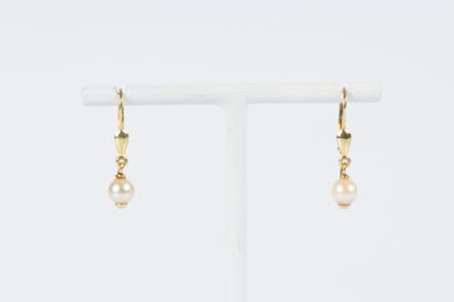 Paire de boucles d'oreilles dormeuses en...