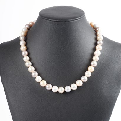 Collier perles de culture naturelles diamètre...