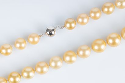 Collier de perles gold (South sea) en chute...