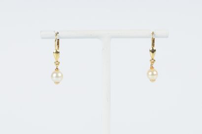 Paire de boucles d'oreilles dormeuses en...