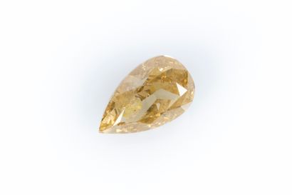 Diamant sur papier avec son certificat mentionnant:...