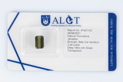 Tourmaline sous scellé avec son certificat...