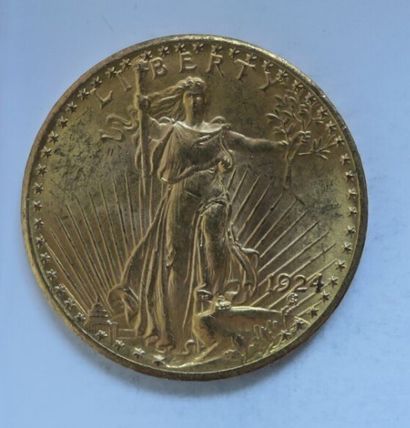 1 monnaie en or: 20 $ US 1924



Frais 22%...