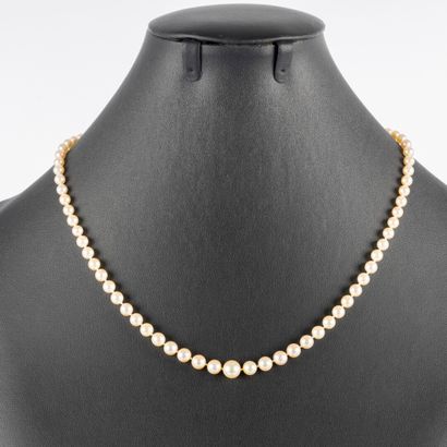 Collier de perles de culture en chute (4,7...