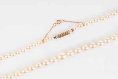 Collier de perles de culture en chute (4,7...