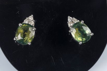 Paire de clous d'oreilles en or gris sertis...