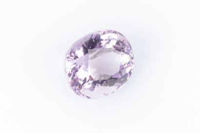Kunzite sur papier avec son certificat mentionnant:...