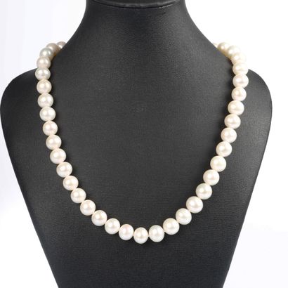 Collier de perles de culture naturelles diamètre...