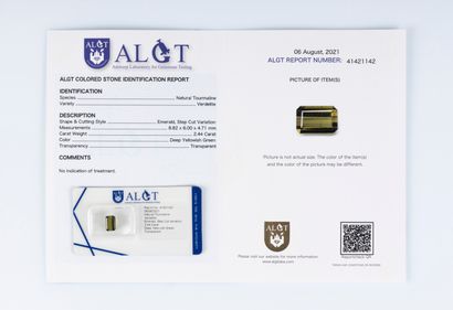 Tourmaline sous scellé avec son certificat...