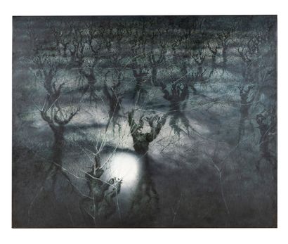 Lucio FANTI (1945)

Luna sotto la vigno

Huile...