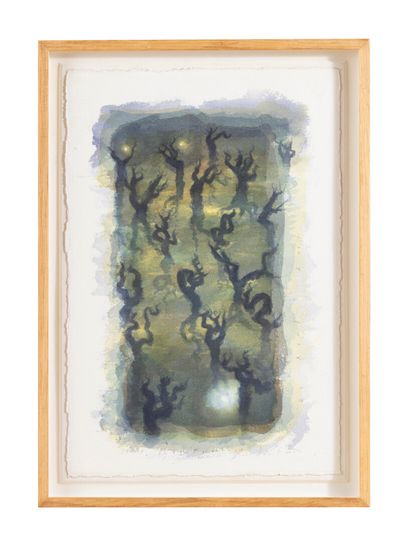 Lucio FANTI (1945)

Vignes

Aquarelle sur...