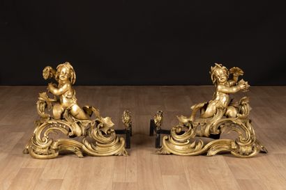 Paire de grands chenets en bronze doré à...