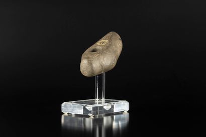 Axe hammer
Grey stone
Northern Europe, Chalcolithic
l....
