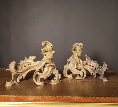 Paire de chenets en bronze doré à décor de...
